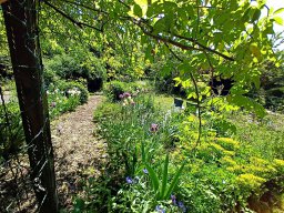 Rita offene Gartentor